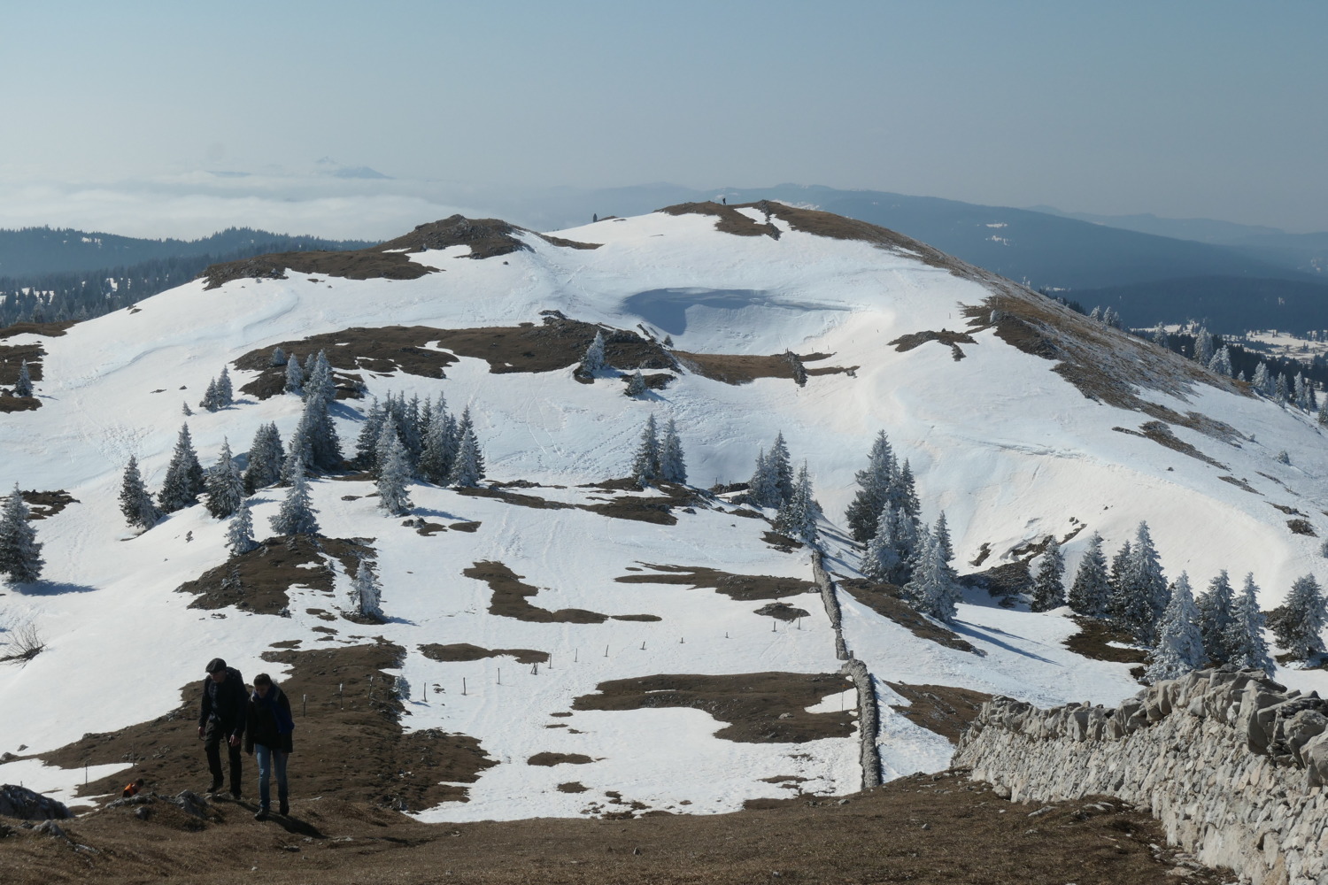 p1002500.jpg