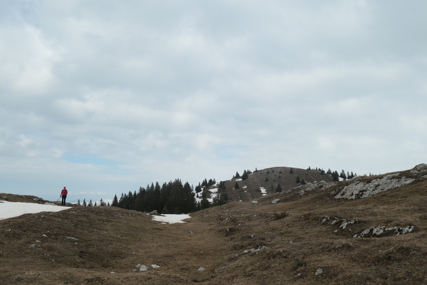 p1002508.jpg