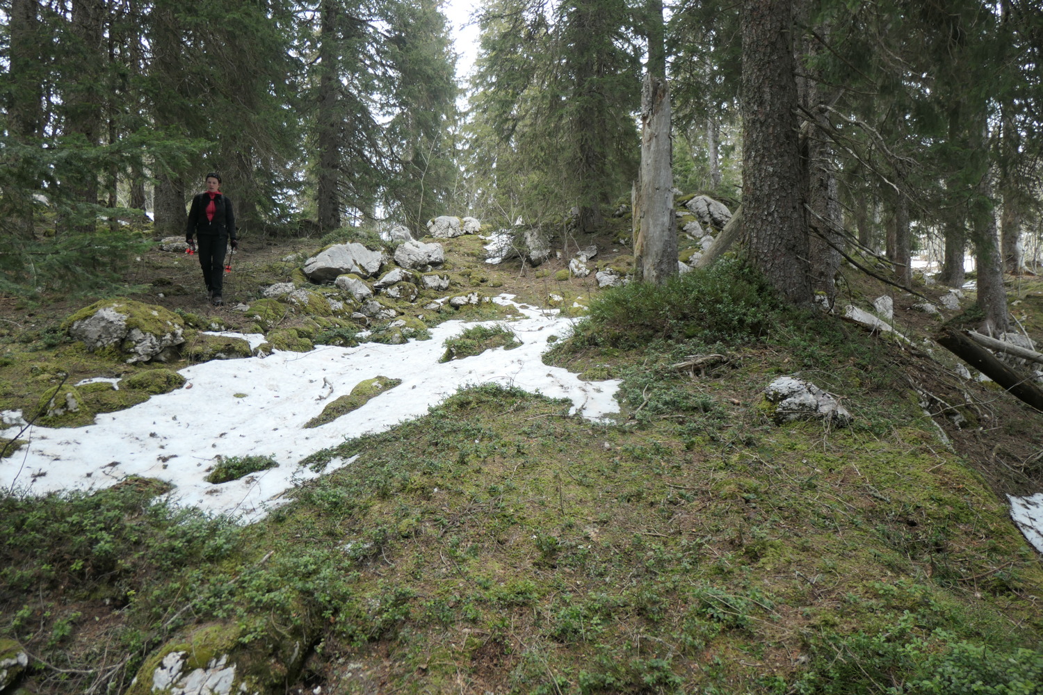 p1002510.jpg