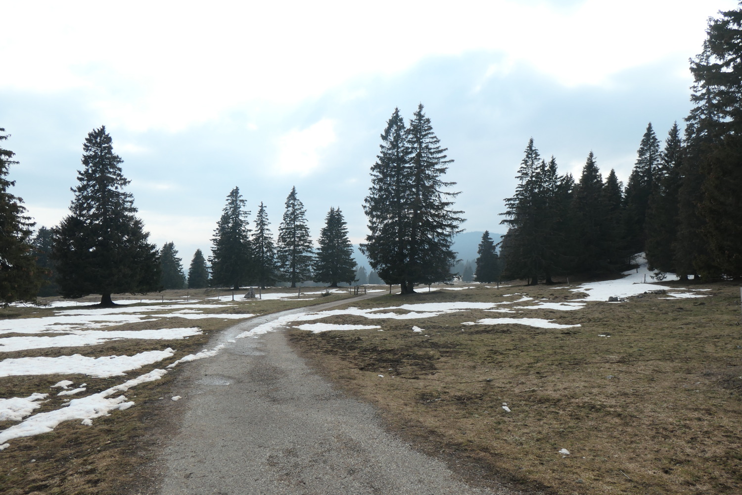p1002511.jpg