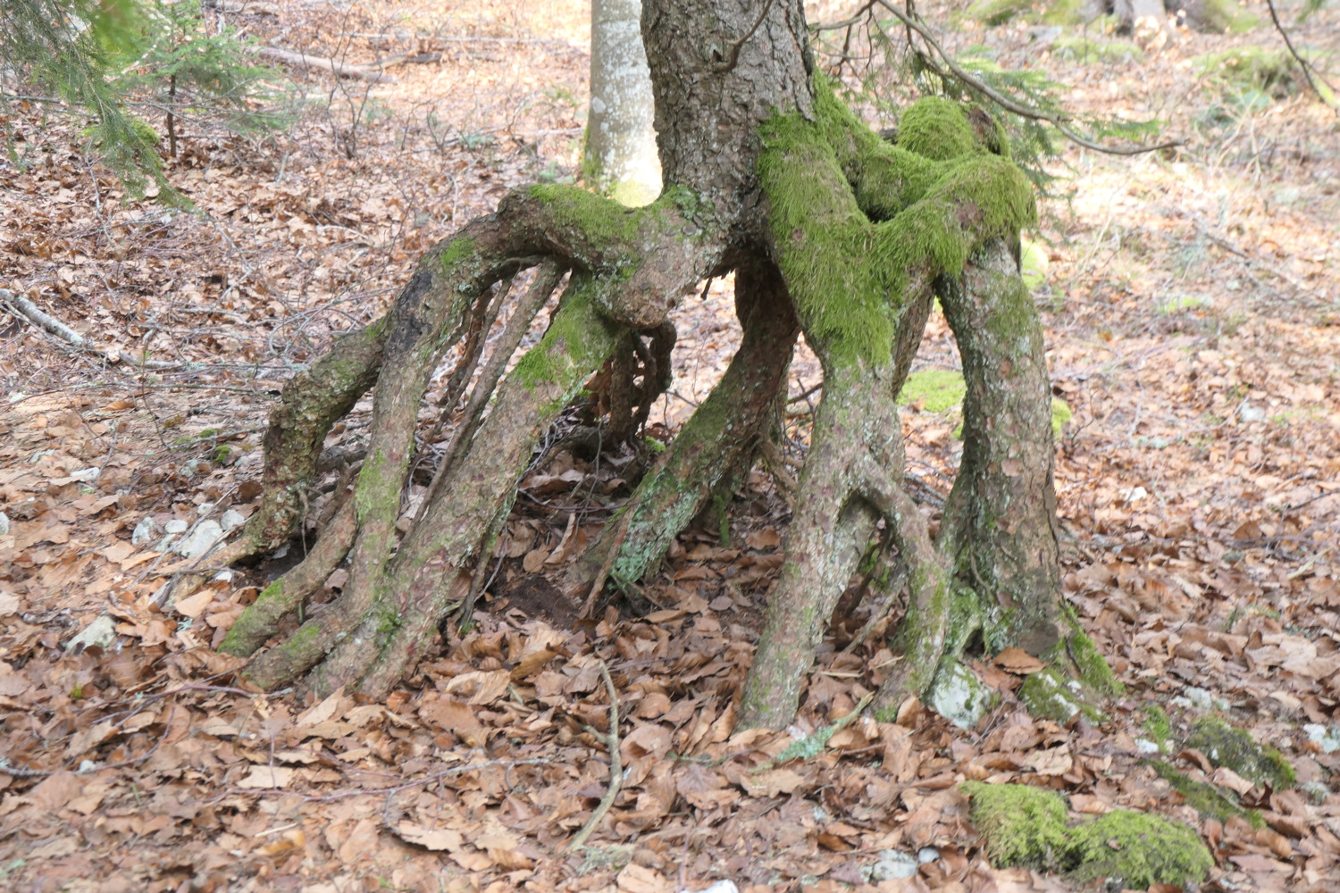 p1002516.jpg