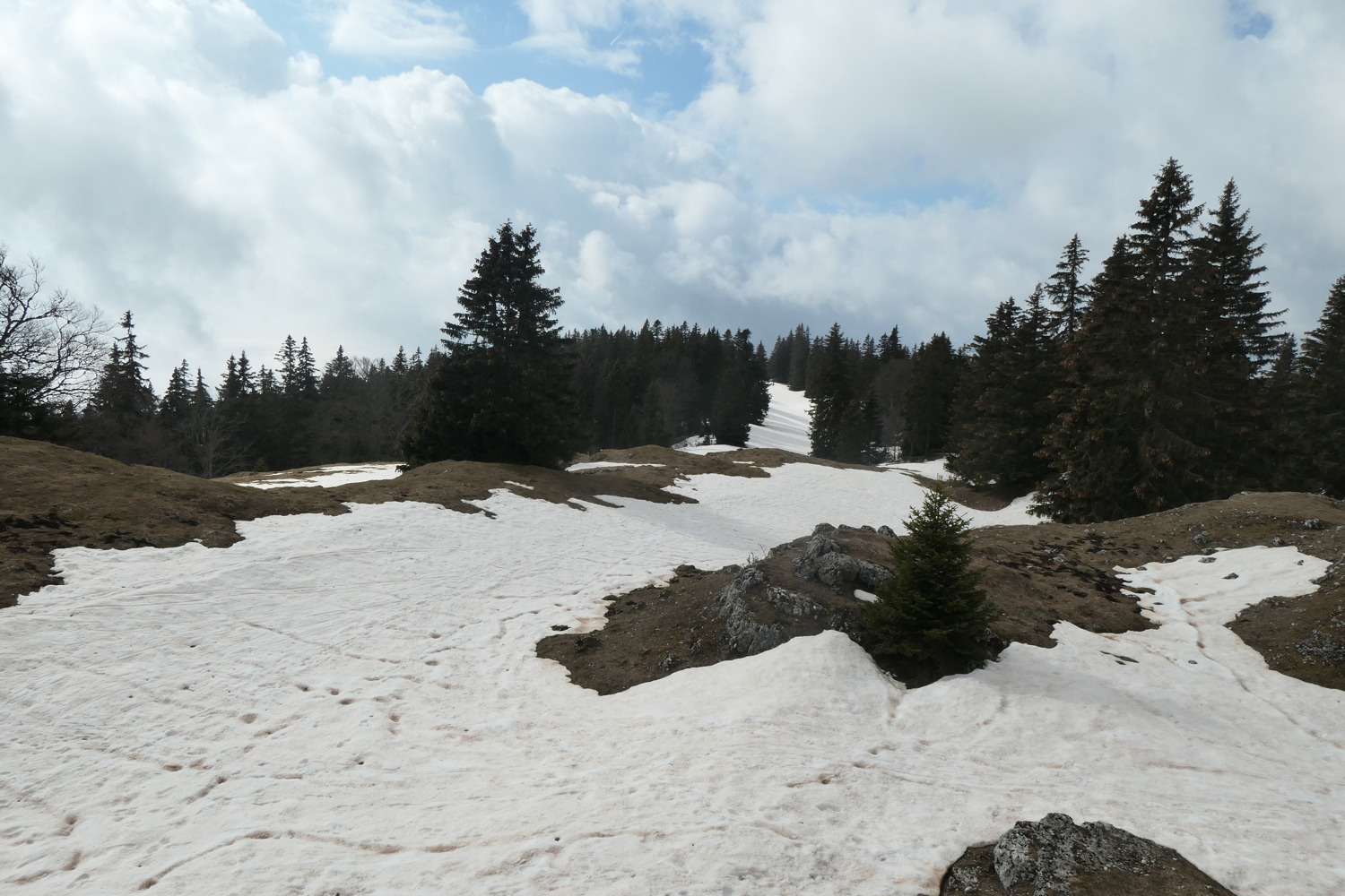 p1002529.jpg