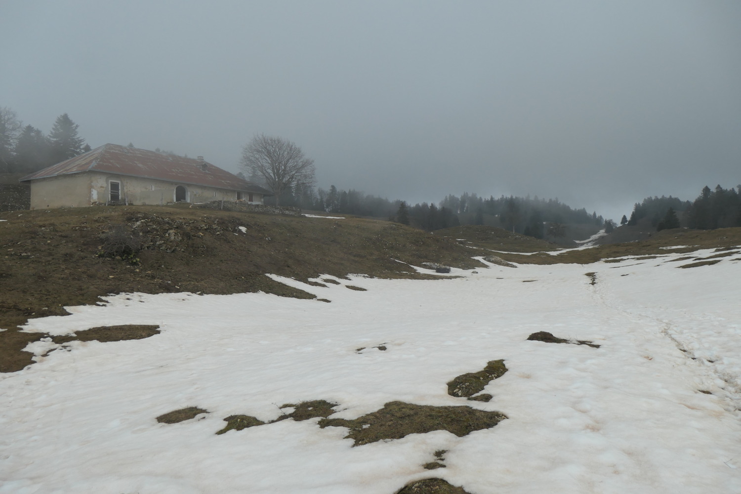p1002534.jpg
