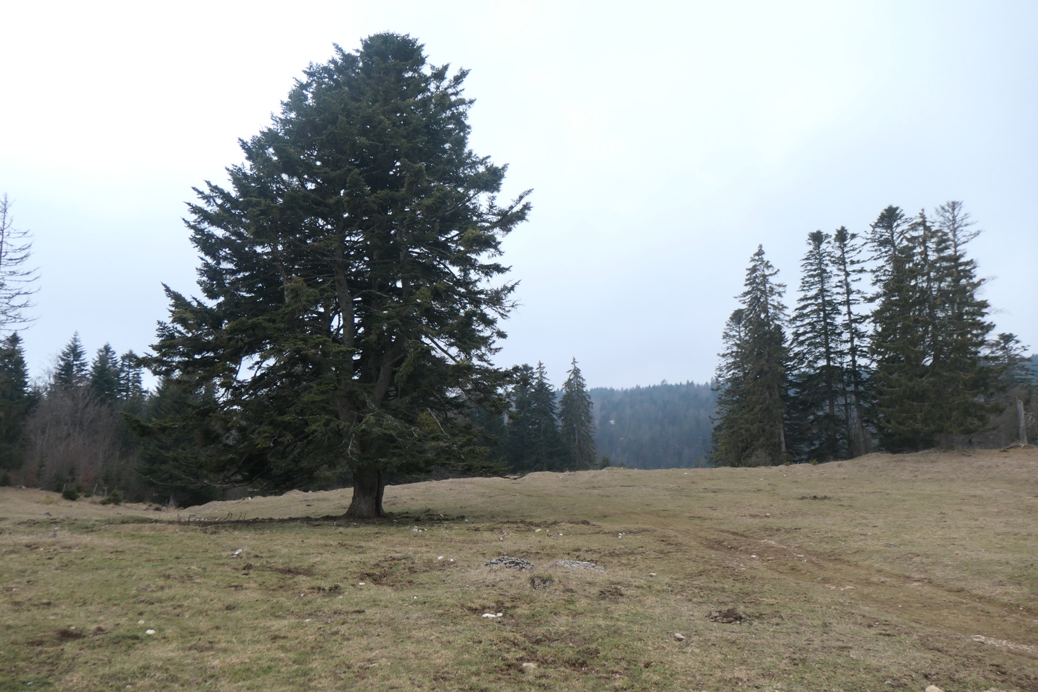 p1002537.jpg