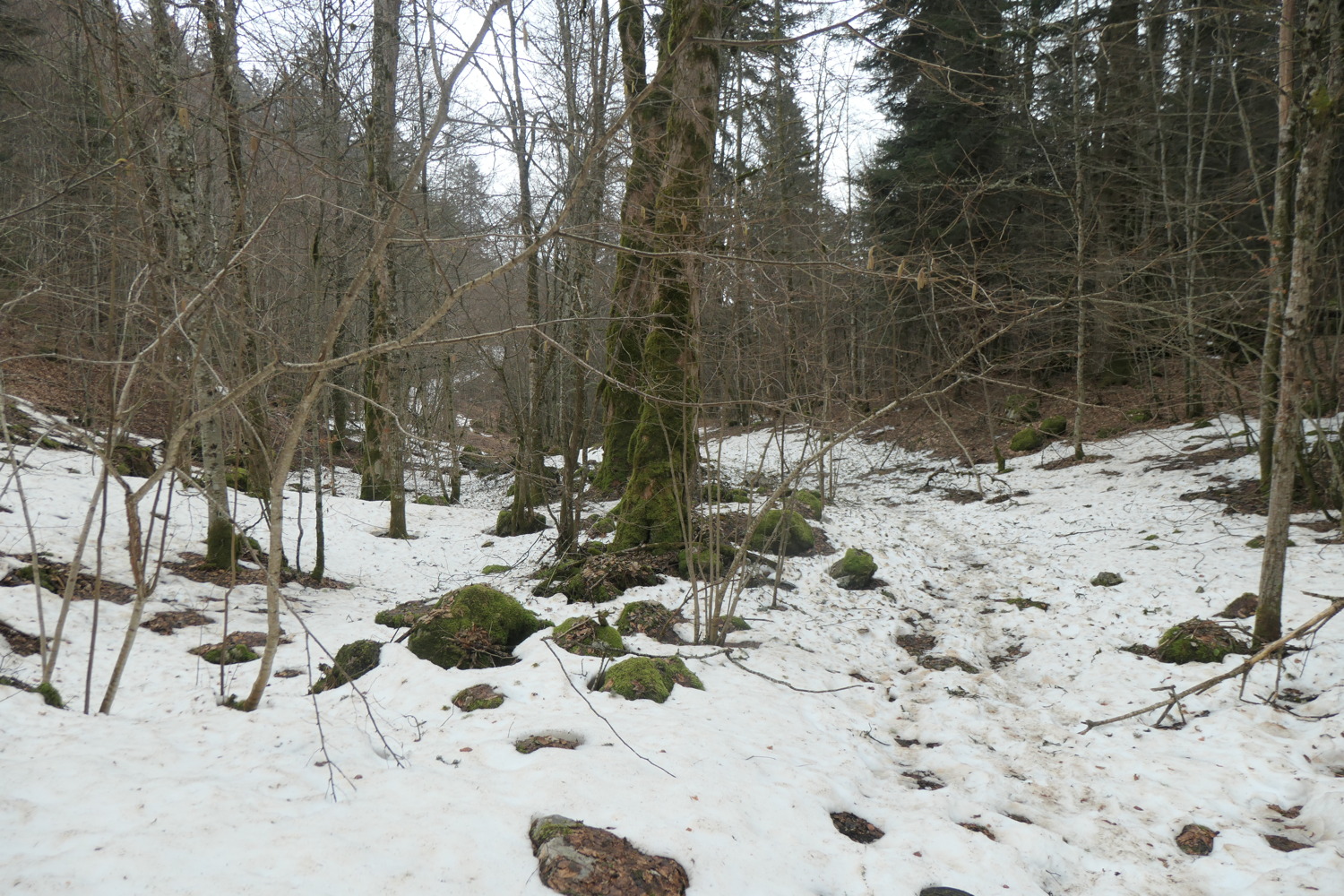 p1002539.jpg