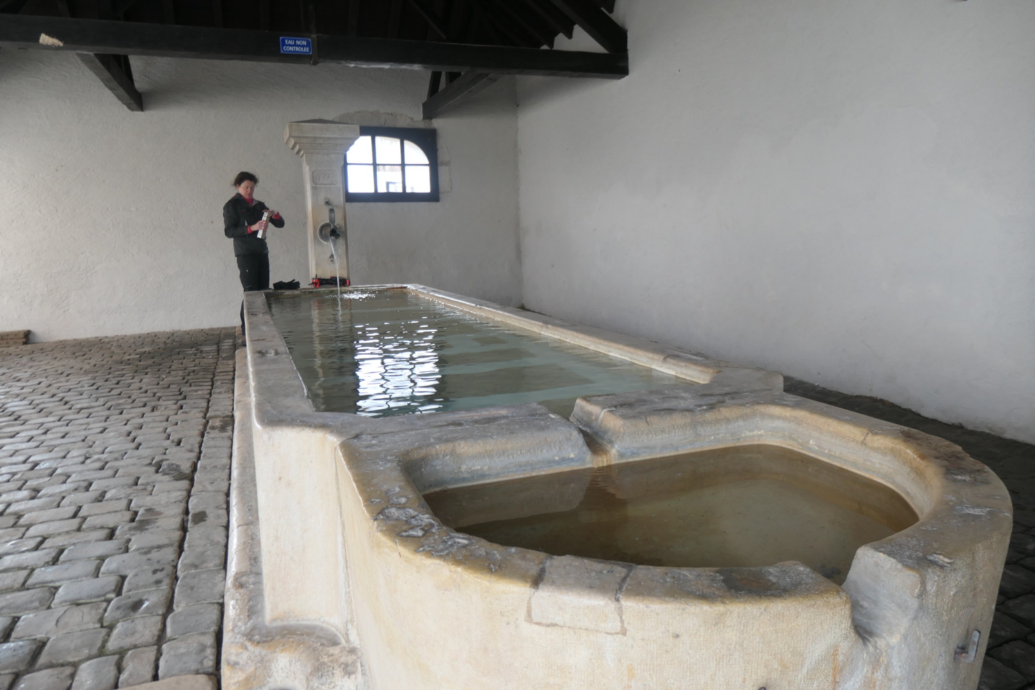p1002548.jpg
