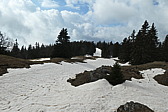 p1002529.jpg