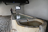 p1002548.jpg
