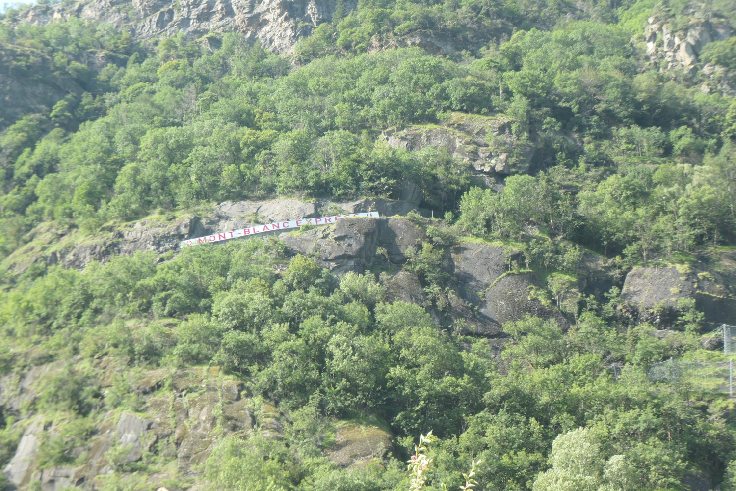 p1003771.jpg