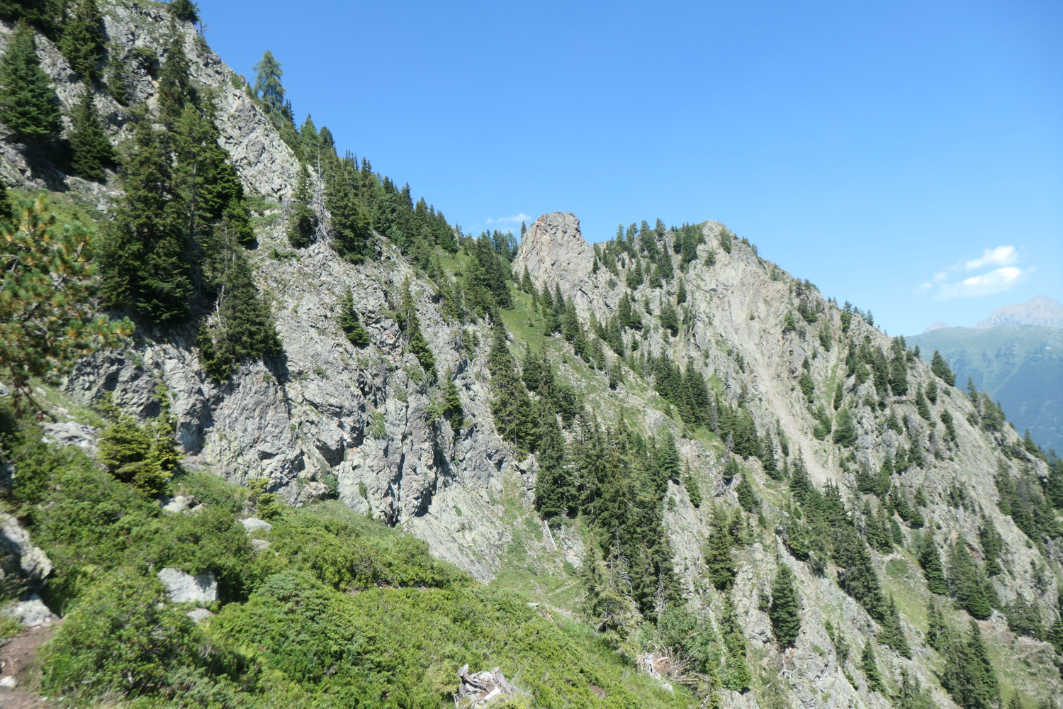 p1003777.jpg