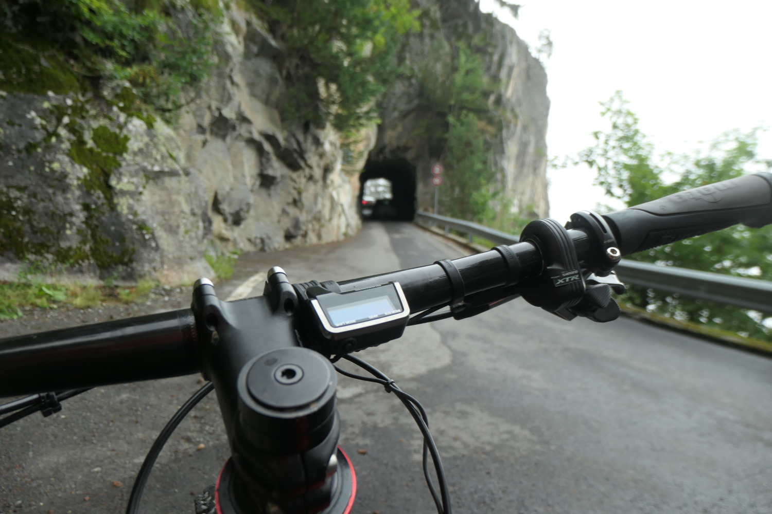 p1003783.jpg
