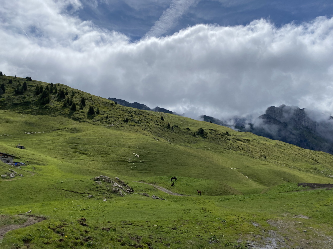 p1003815a.jpg