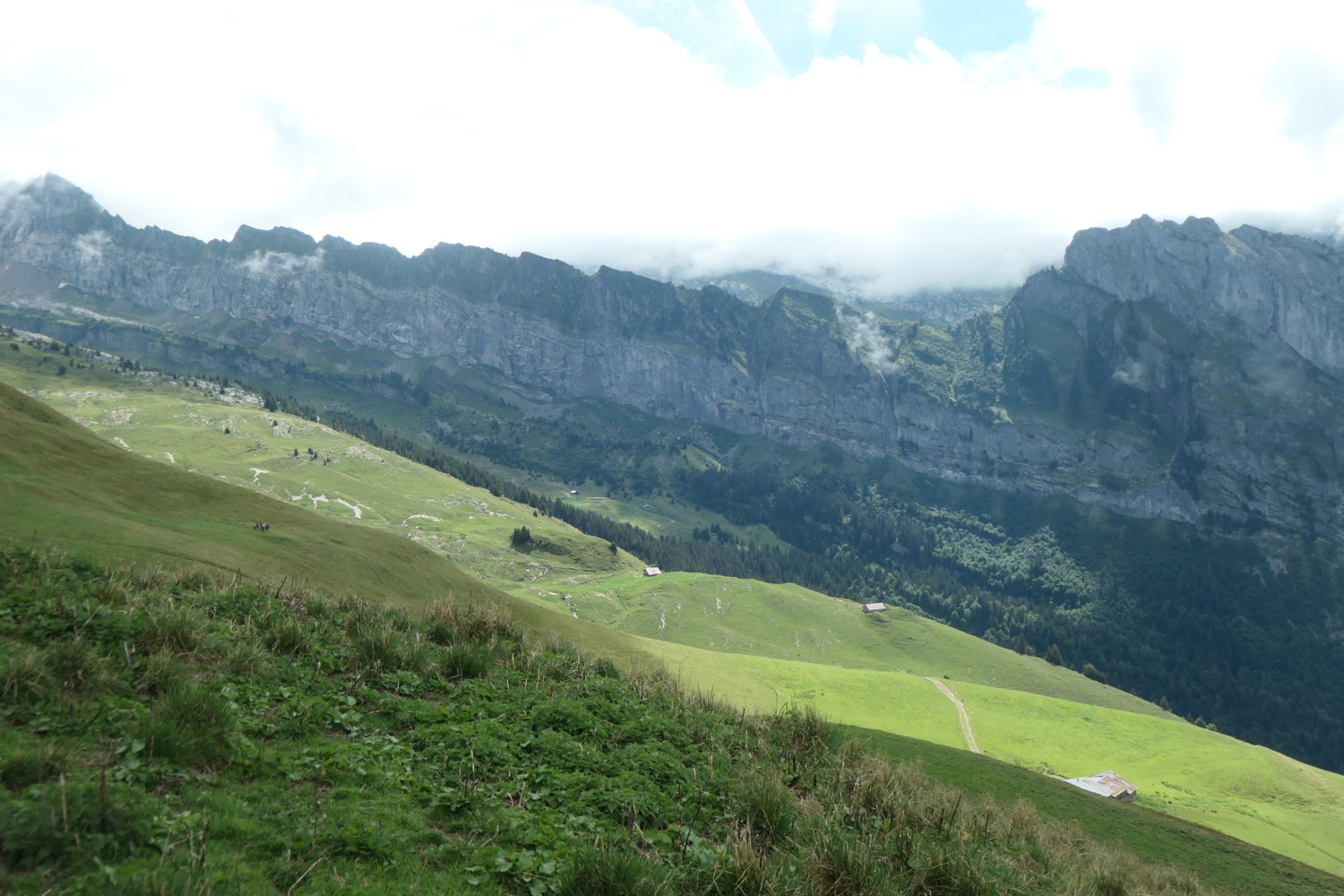 p1003816.jpg