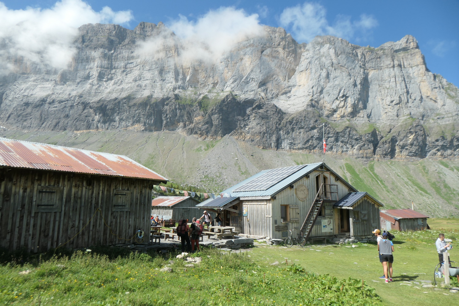 p1003832.jpg