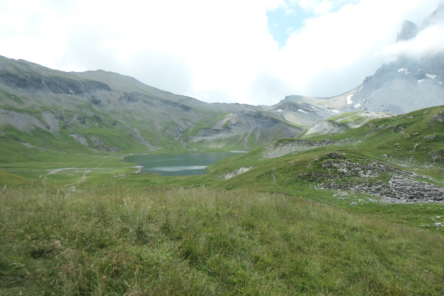 p1003835.jpg