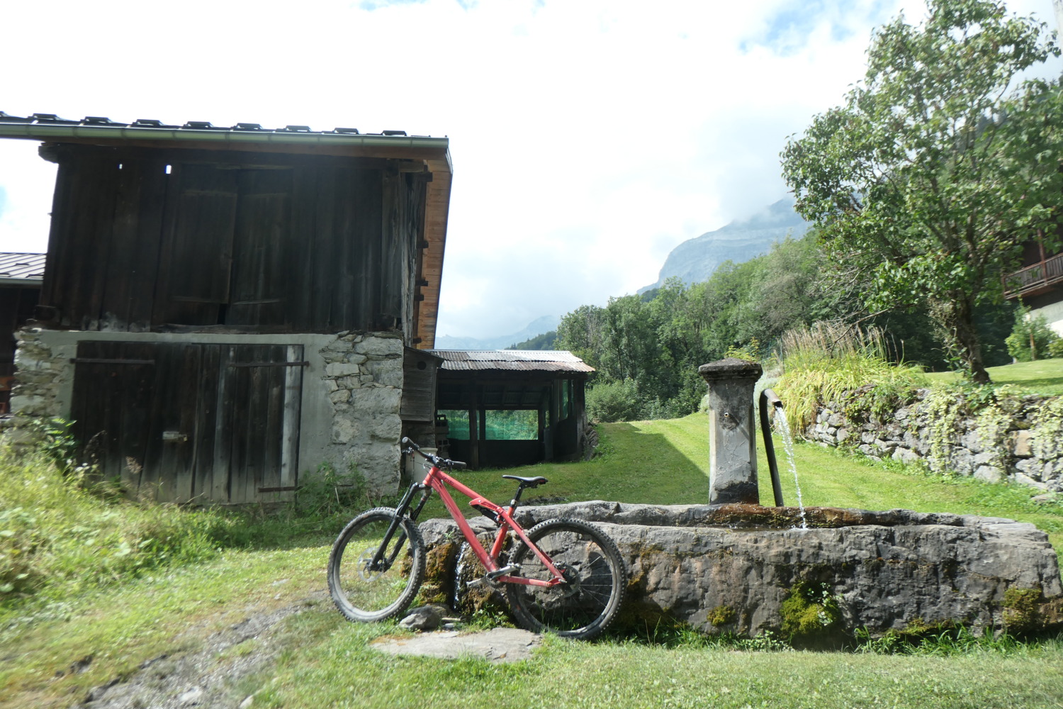 p1003840.jpg