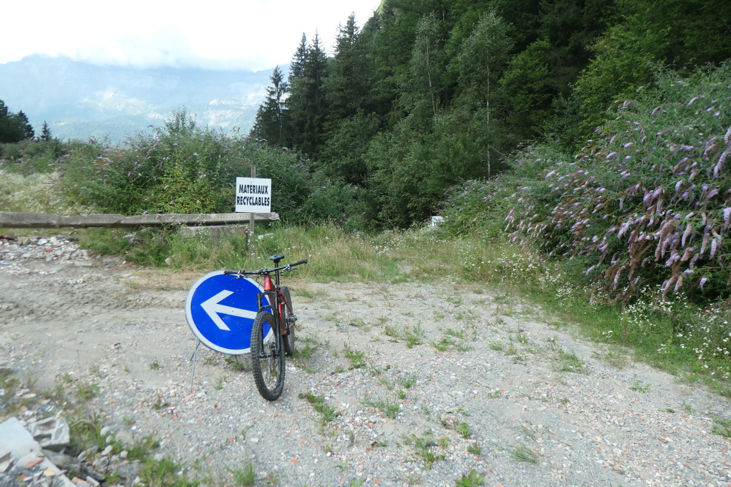 p1003844.jpg