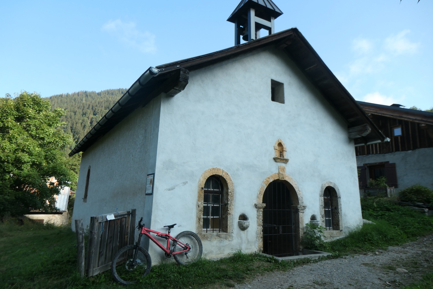 p1003849.jpg