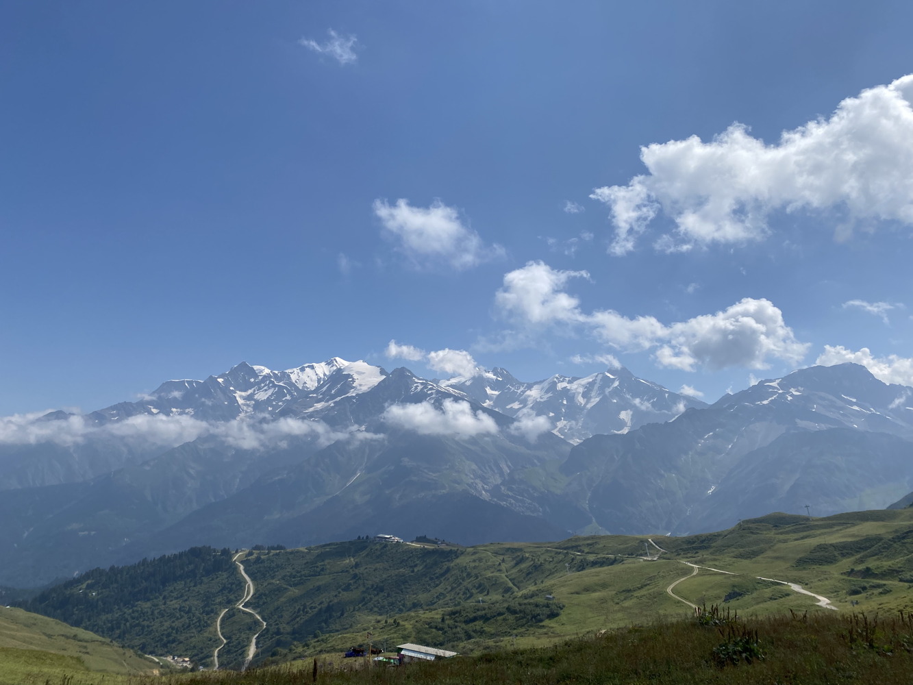 p1003852a.jpg
