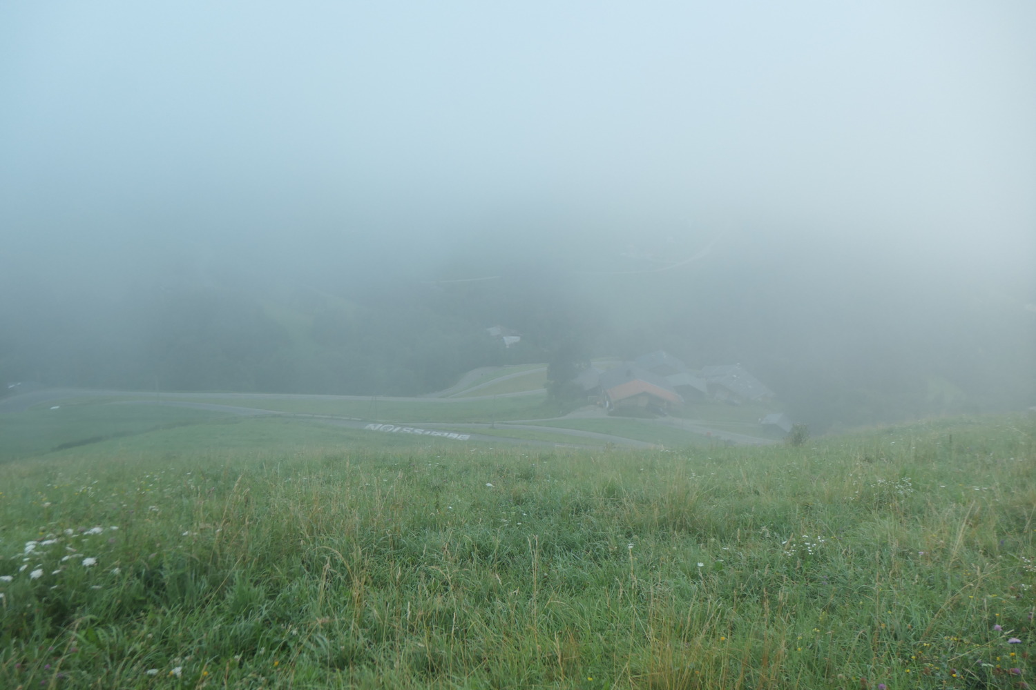 p1003854.jpg