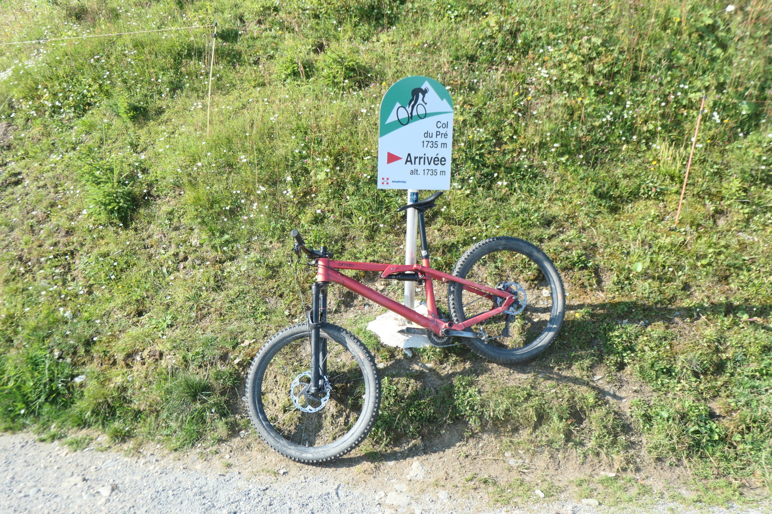 p1003860.jpg