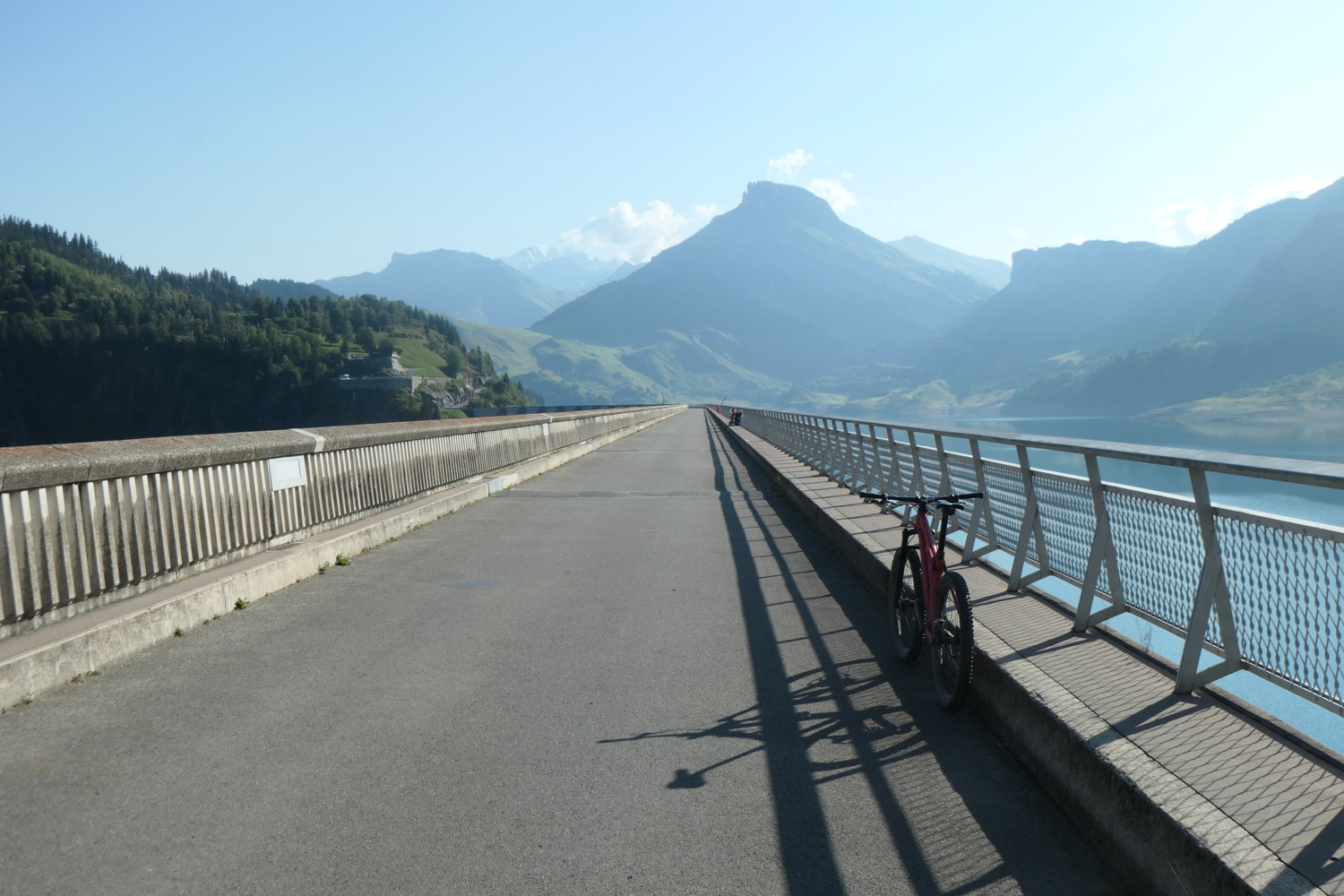 p1003861.jpg