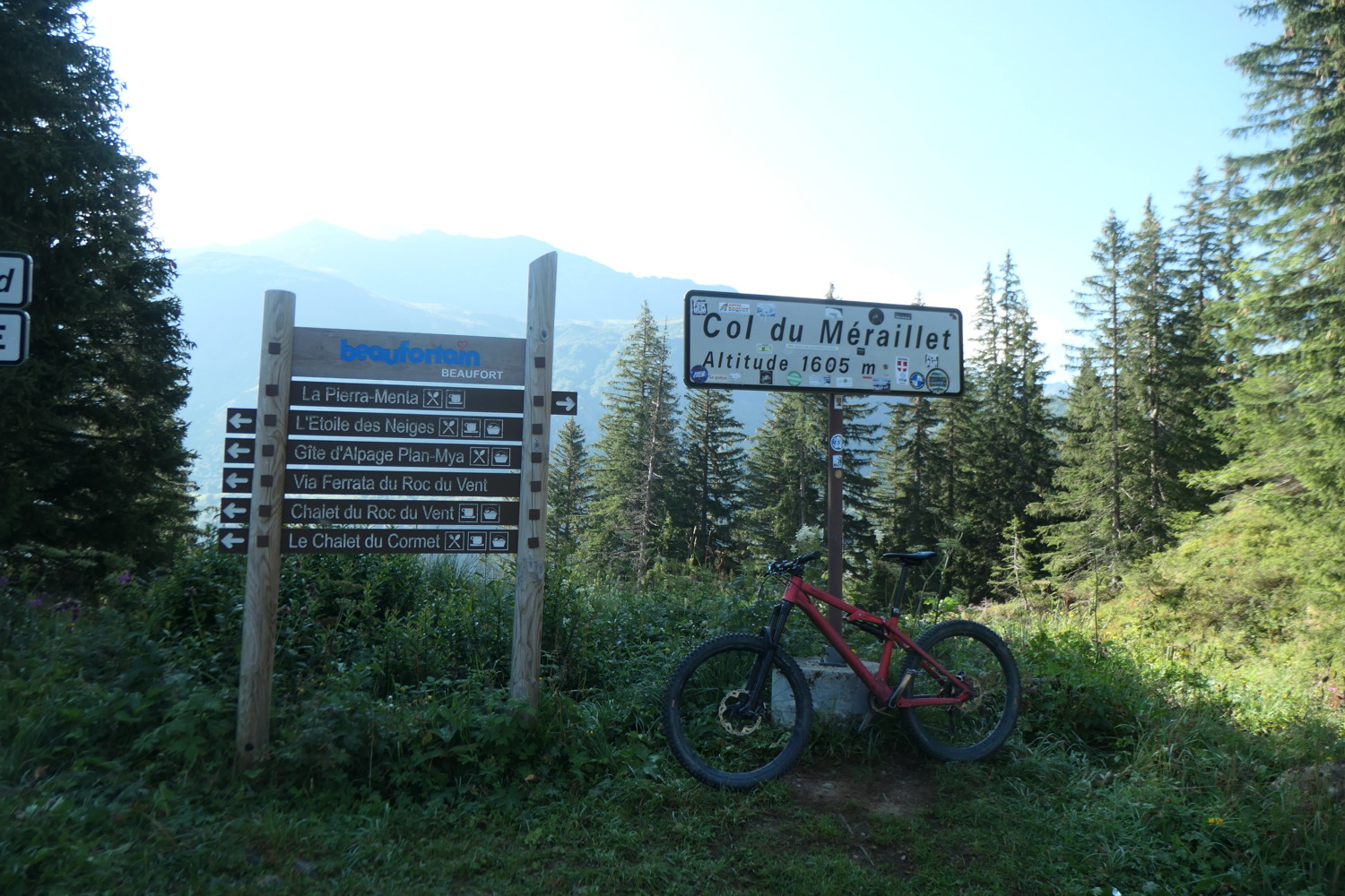 p1003862.jpg