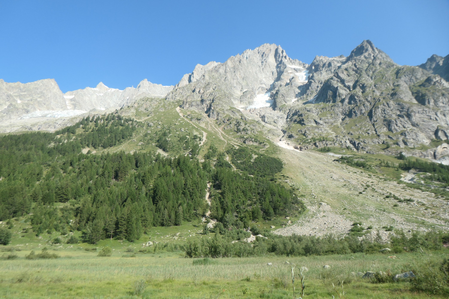 p1003886.jpg