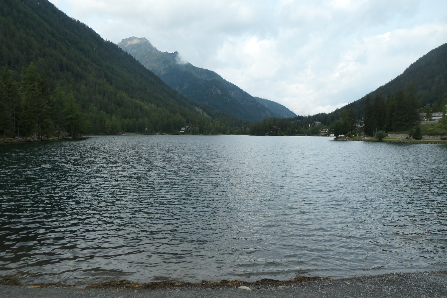 p1003907.jpg