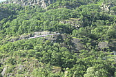 p1003771.jpg