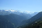 p1003778.jpg