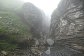 p1003796.jpg
