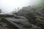 p1003797.jpg