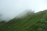 p1003811.jpg