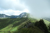 p1003817.jpg