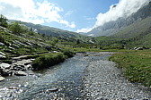 p1003829.jpg