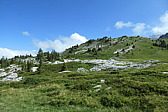 p1003830.jpg