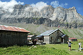 p1003832.jpg