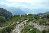 p1003839.jpg