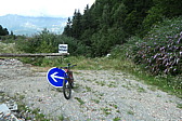 p1003844.jpg