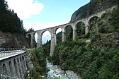 p1003845.jpg
