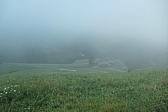 p1003854.jpg