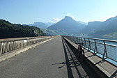 p1003861.jpg