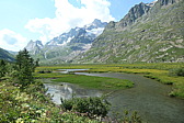 p1003880.jpg