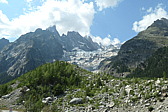 p1003883.jpg