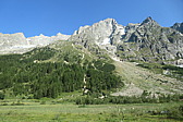 p1003886.jpg
