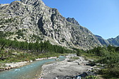 p1003888.jpg