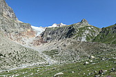 p1003890.jpg