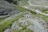p1003894.jpg