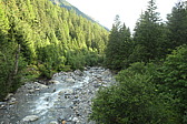 p1003905.jpg